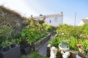Garden- click for photo gallery